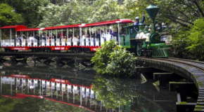 The train at Stanley Park