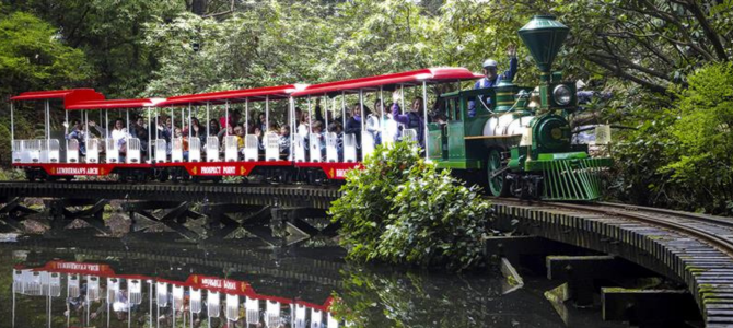 The train at Stanley Park