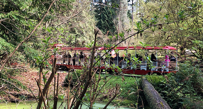 Train Travel in Victoria, B.C.