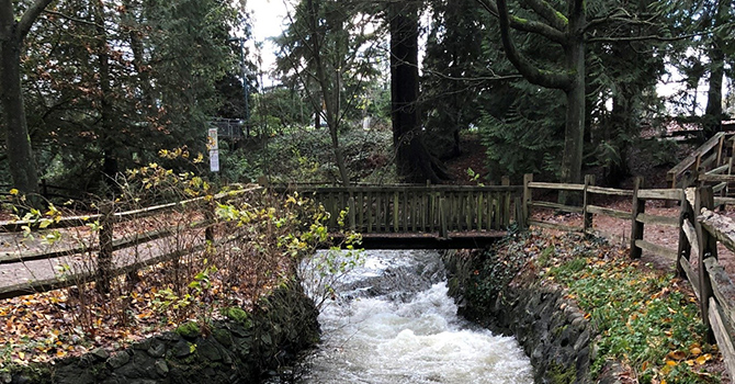 A pedestrian bridge crossing over Still Creek