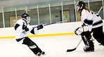 Trout Lake Rink in Vancouver