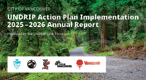 UNDRIP 2026 logos and information