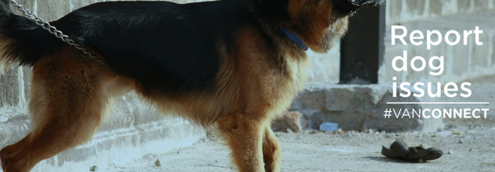 Use our app to make a complaint about a dog Use our app to make a complaint about a dog