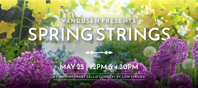 Spring Strings at VanDusen garden Spring Strings at VanDusen garden