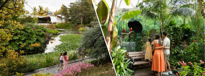 Split image showing VanDusen Botanical Garden and Bloedel Conservatory: visitors walking beside a pond and gardens at VanDusen on the left, and people viewing tropical plants and parrots inside the conservatory on the right.