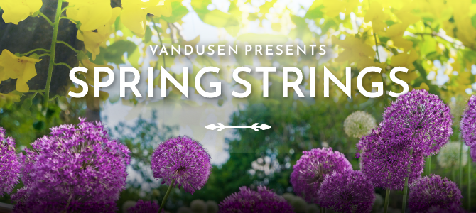 VanDusen presents Spring Strings poster 