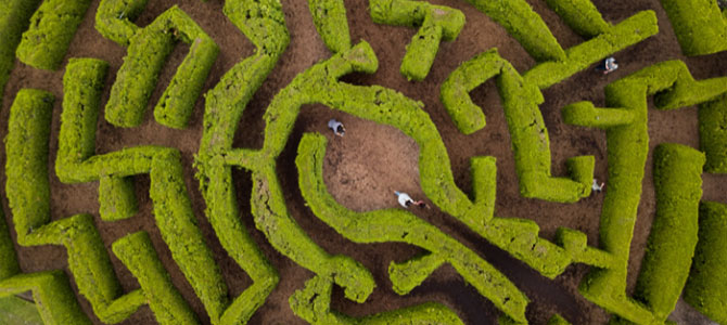 Aerial view of Elizabethan hedge maze