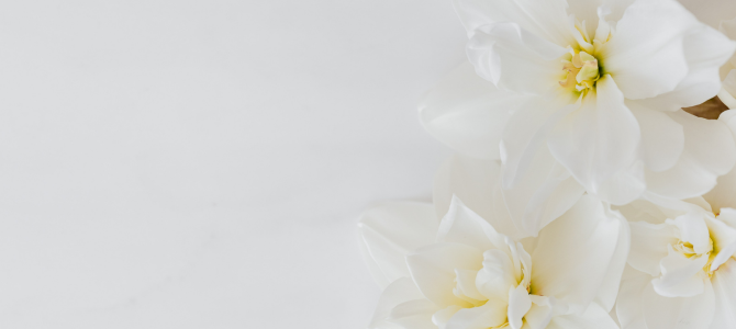 White flowers on a white background