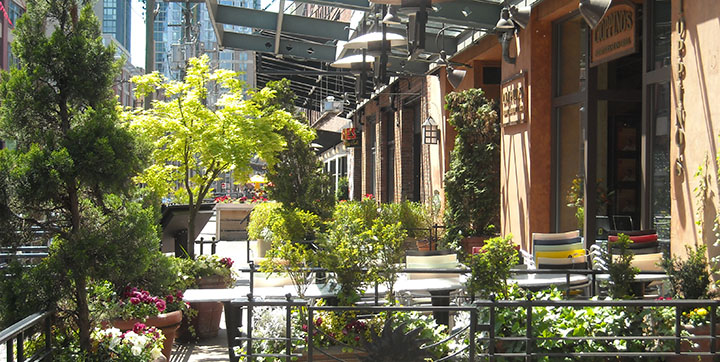 Patios along Hamilton St