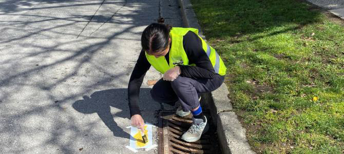 Person in hi-vis vest kneeling on top of a catch basin and marking the pavement with a yellow fish