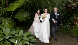 Wedding at Bloedel Conservatory
