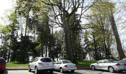 Stanley Park parking lot