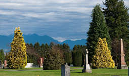 Upright grave markers in a cemetery with trees and mountains in the background.