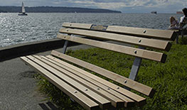 Bench at English Bay, with the ocean in the background