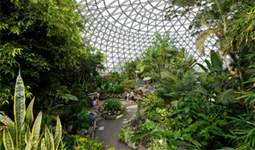 Inside the Bloedel Conservatory