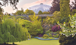 Garden area in front of Bloedel Conservatory