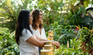 Visitors looking at the plants inside the Bloedel Conservatory’s tropical garden.