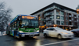 A bus passing a car on a busy street