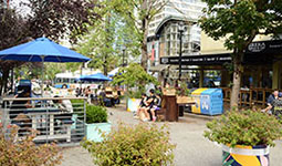 People enjoying an outdoor plaza on Bute Street