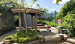 Creekside Childcare green roof