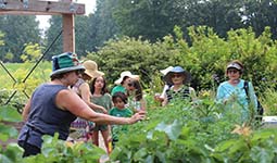 Adults and children looking at plants in a community garden