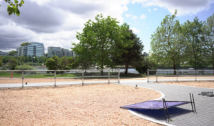 Dog off-leash area at Coopers' Park