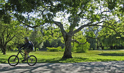 Cyclist at Jericho Park