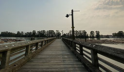 Wooden pier extending over water with a lamppost and trees in the distance