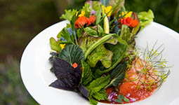 Fresh salad in a shallow white bowl