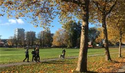 People walking through park with trees with fallen leaves