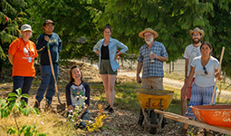 Group of gardeners, some holding shovels, standing next to wheelbarrows among cedar trees in a sunlit garden.