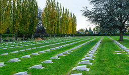 Rows of flat memorial markers in a cemetery surrounded by trees.