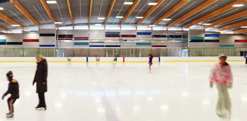 People skating on ice rink