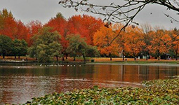 John Hendry Park and Trout Lake