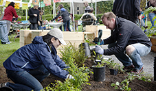 People working in a garden