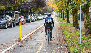 Parent cycling on a bike lane with a child in a bike seat