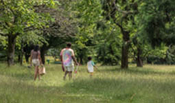 People in a park meadow with trees around them