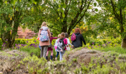 People walking around at VanDusen