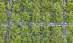 Close-up of permeable pavement with interlocking concrete pavers and grass growing through the gaps, demonstrating sustainable urban infrastructure.