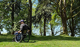 Person in a park using a wheelchair