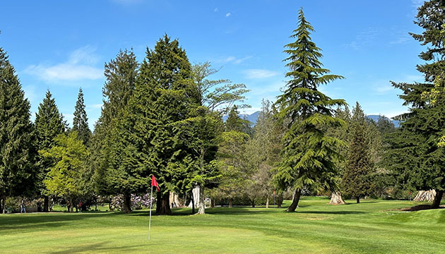 A pitch and putt golf course