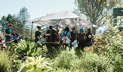 People under a tent at Riley Park