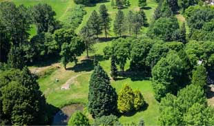 Rupert Park Pitch and Putt greens