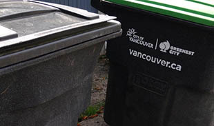 Garbage and green bins