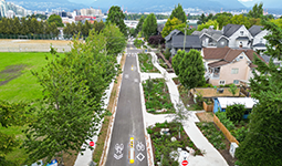 Aerial view of St. George Street with bike lane markings and landscaped sidewalks.