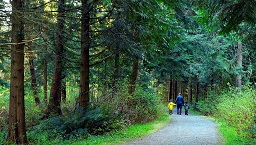 People walking down a trail surrounded by trees.