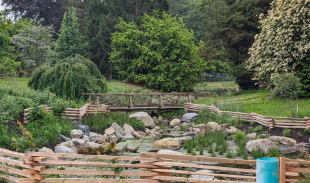 Fenced stream at Tatlow-Volunteer Park