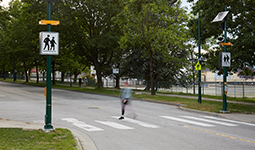 Pedestrian crossing a marked crosswalk on a tree-lined street, with flashing amber lights and school crossing signs visible.