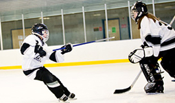 Trout Lake Rink