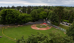 Aerial view of a baseball field surrounded by lush green trees in a city park.